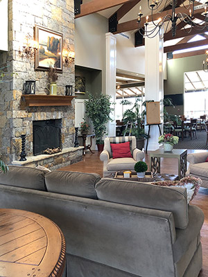 Susan Gaynor interior designer